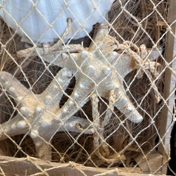 Nautical Starfish and Shell Wall Art Set - Picture 4 of 7